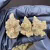 Cannabis