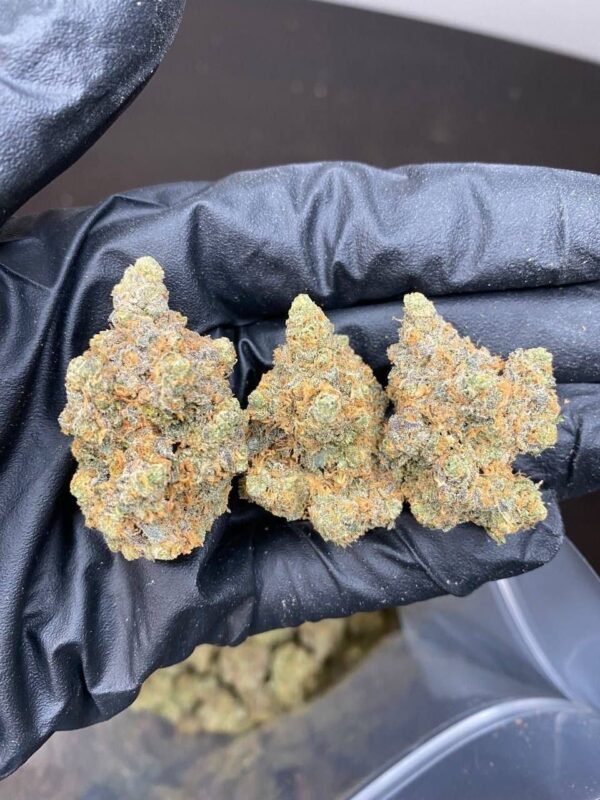 Cannabis