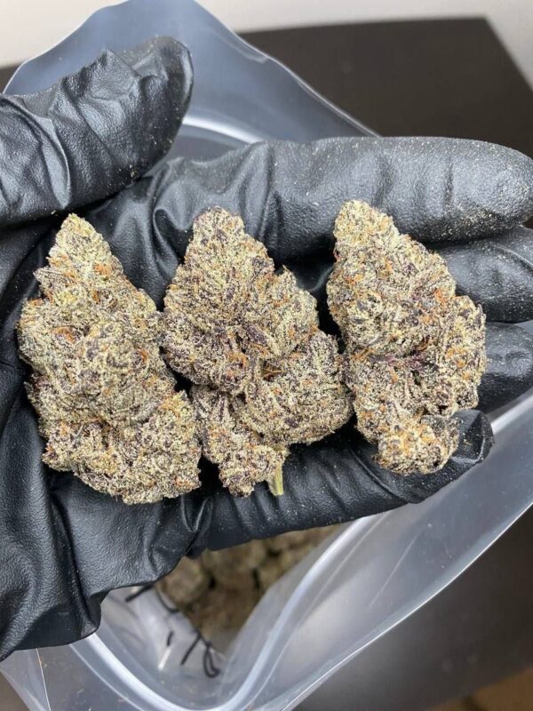 Cannabis