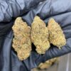 Cannabis