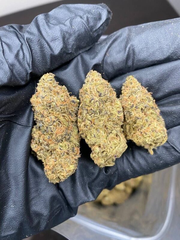 Cannabis