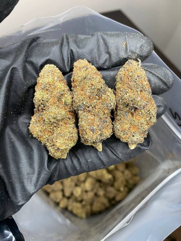 Cannabis